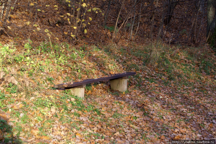 лавочка, вросшая в землю Сигулда, Латвия