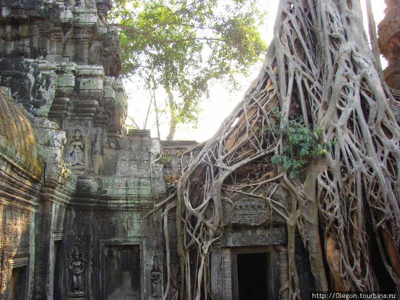 Храм вдохновения Ангкор (столица государства кхмеров), Камбоджа