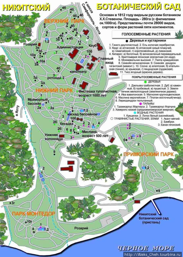 Никитский ботанический сад в крыму карта