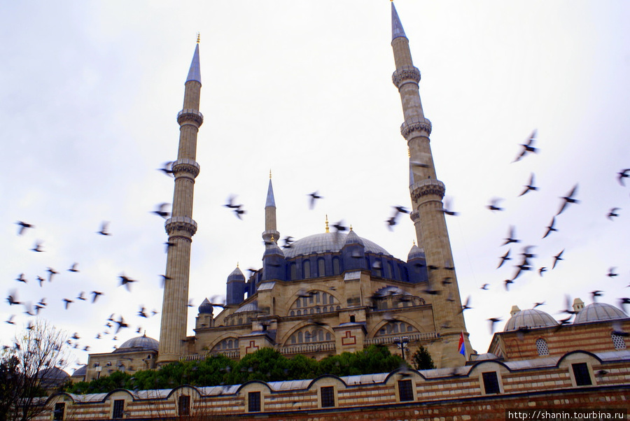 Голуби над мечетью Селимие Эдирне, Турция