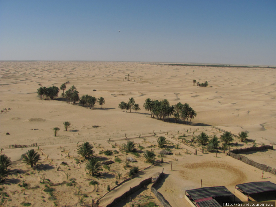 Оазизы в пустыне Тунис