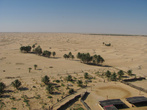 Оазизы в пустыне