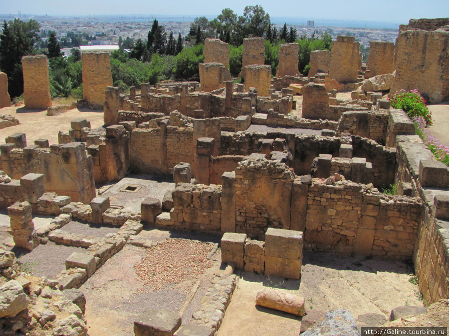 Руины Карфагена Тунис