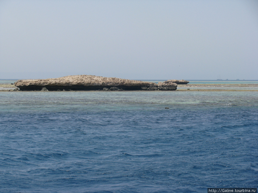 Коралловые рифы Египет