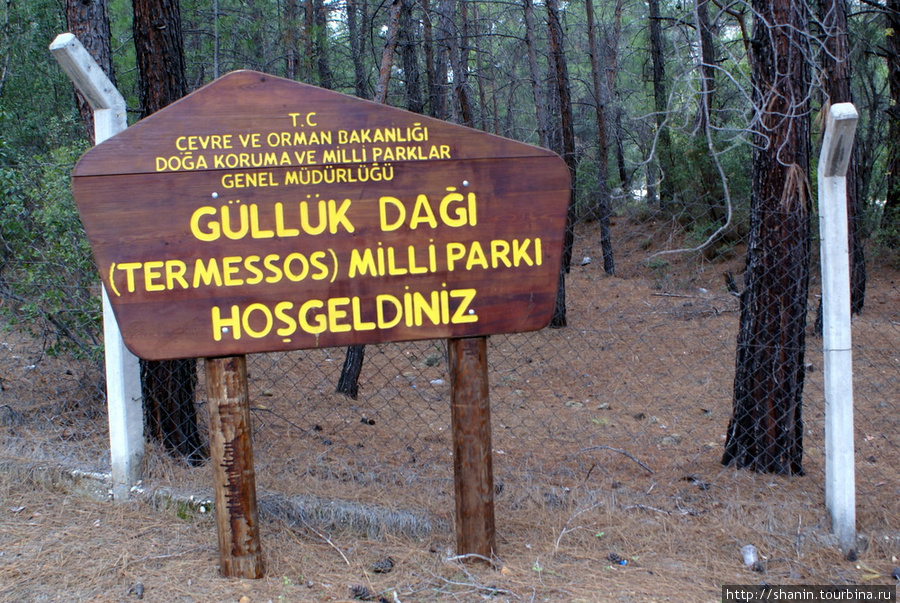 Добро пожаловать в национальный парк Гюлюк Даг Анталия, Турция