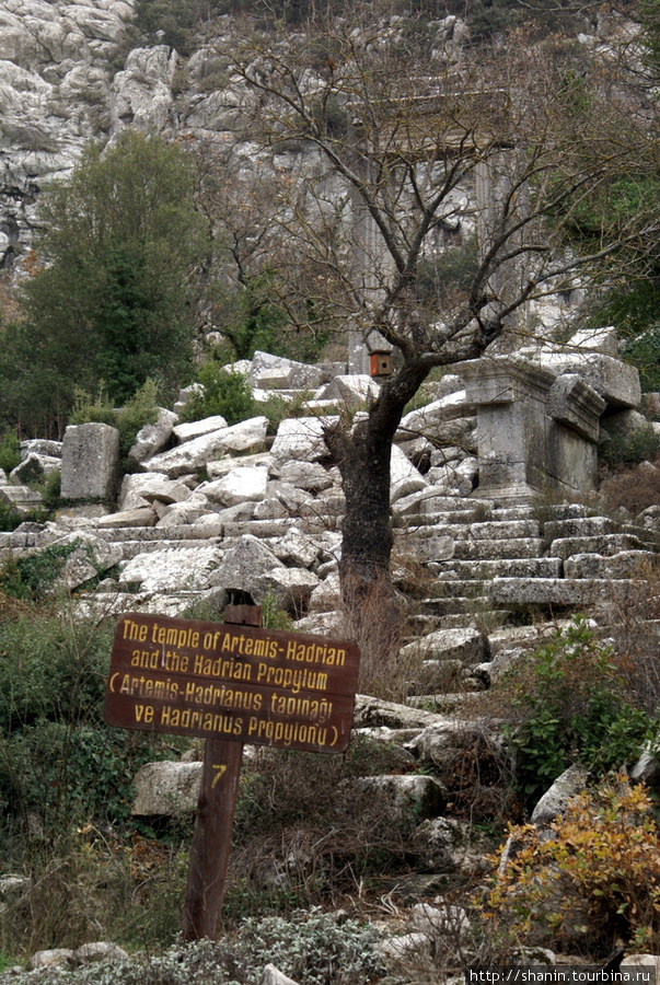 Руины храма императора Адриана в Термесе Анталия, Турция