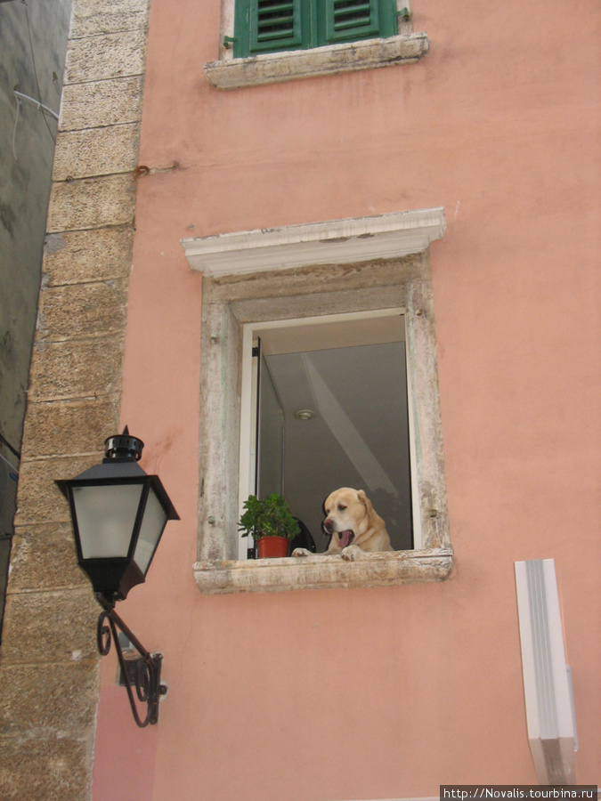 сосед в доме напротив Истрия, Хорватия