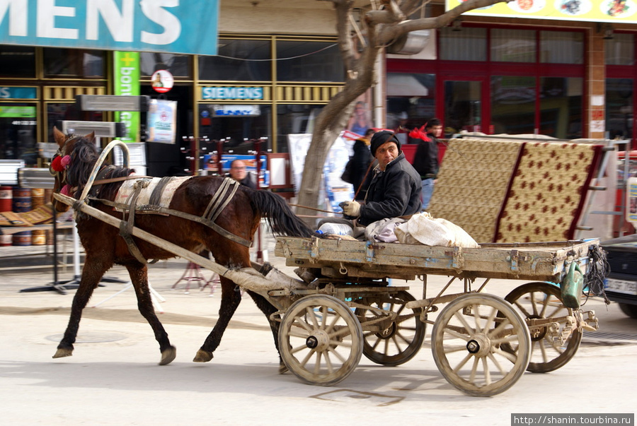 Гужевой транспорт в почете Испарта, Турция
