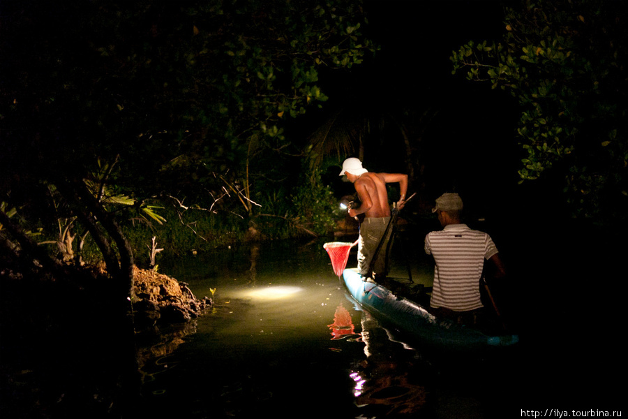 Ночная рыбалка на озере Коггала