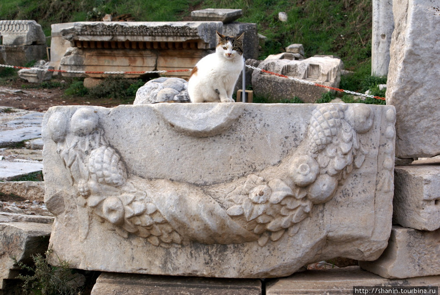 Обломок Эфес античный город, Турция