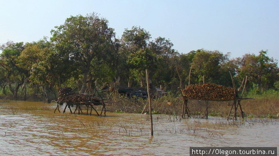 Жизнь на озере Провинция Сиемреап, Камбоджа