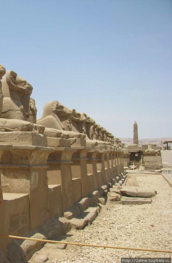Карнакский храм. Аллея сфинксов (баранов). Египет