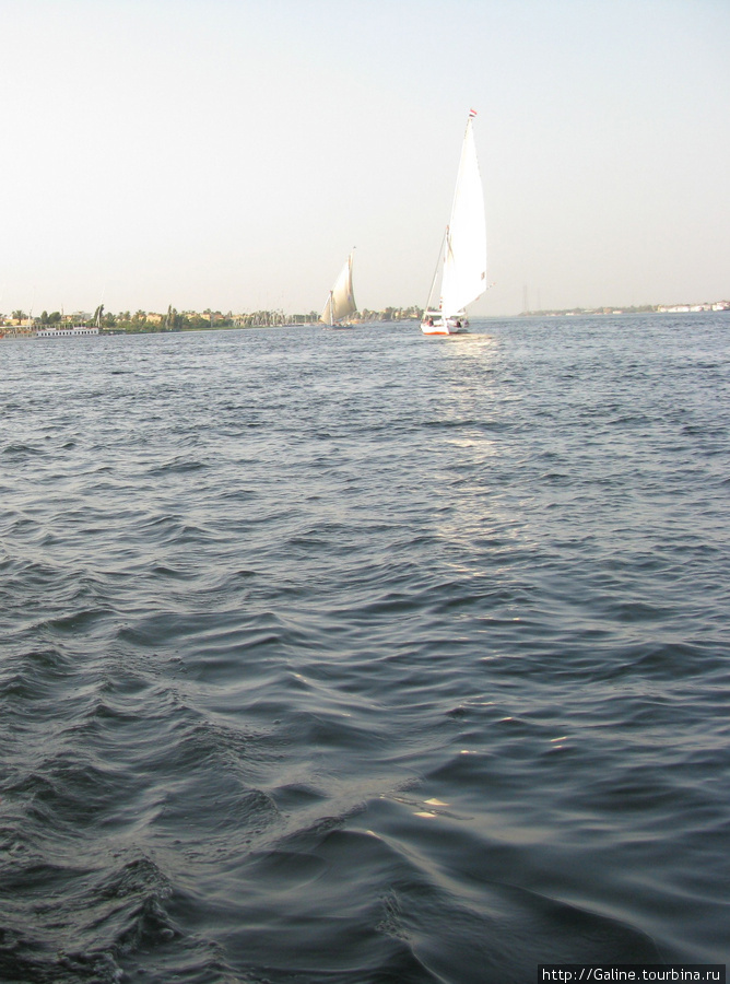 Нил в лучах заката Египет