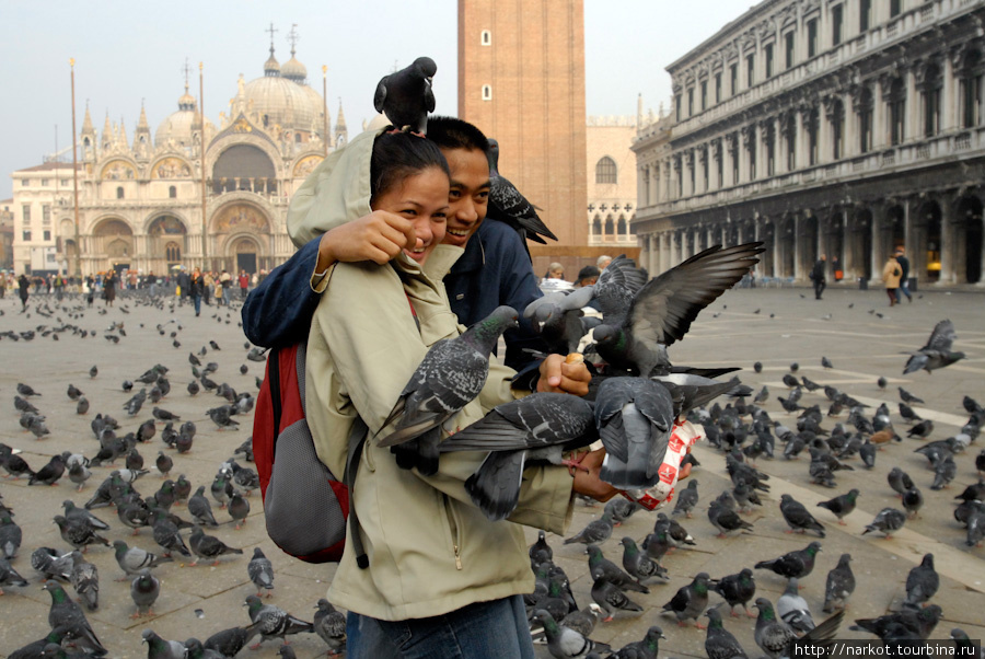 Венеция и голуби Венеция, Италия