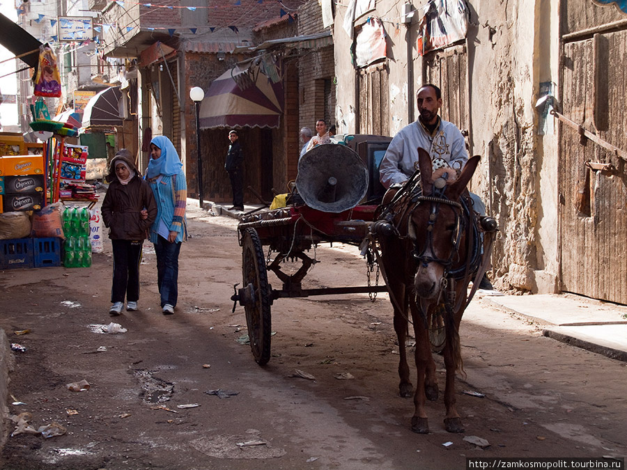 Мобильный торговец. Александрия, Египет