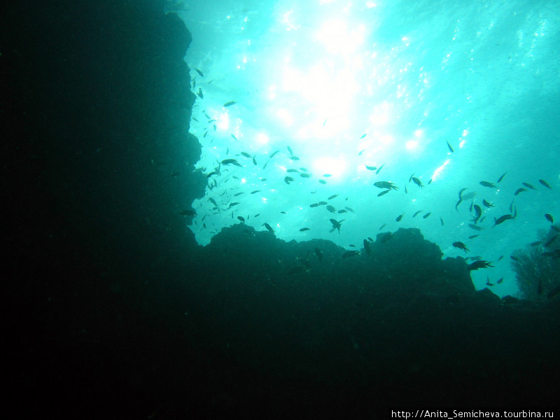 Подводный мир Андаманского моря Таиланд