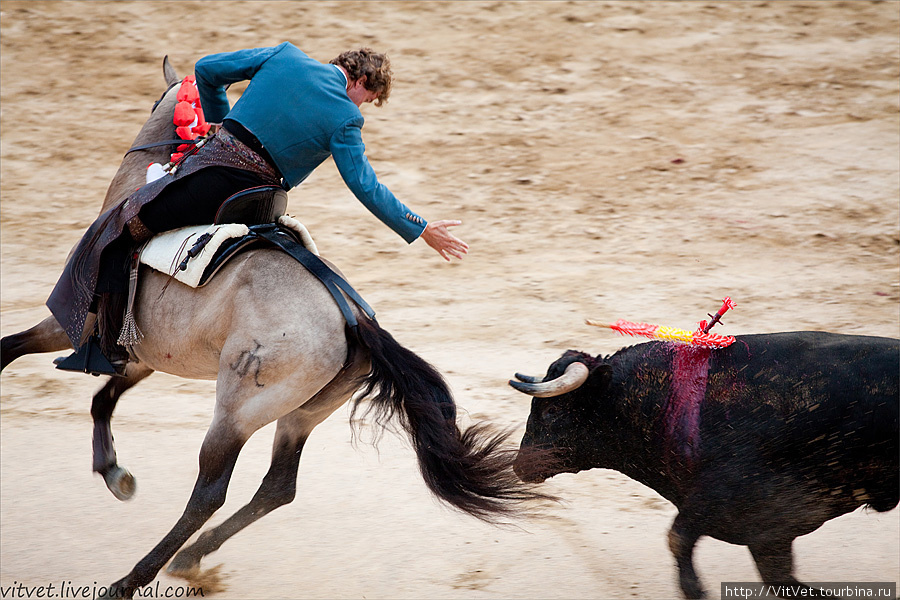 Противоречивая конная коррида: ужас и красота Барселона, Испания