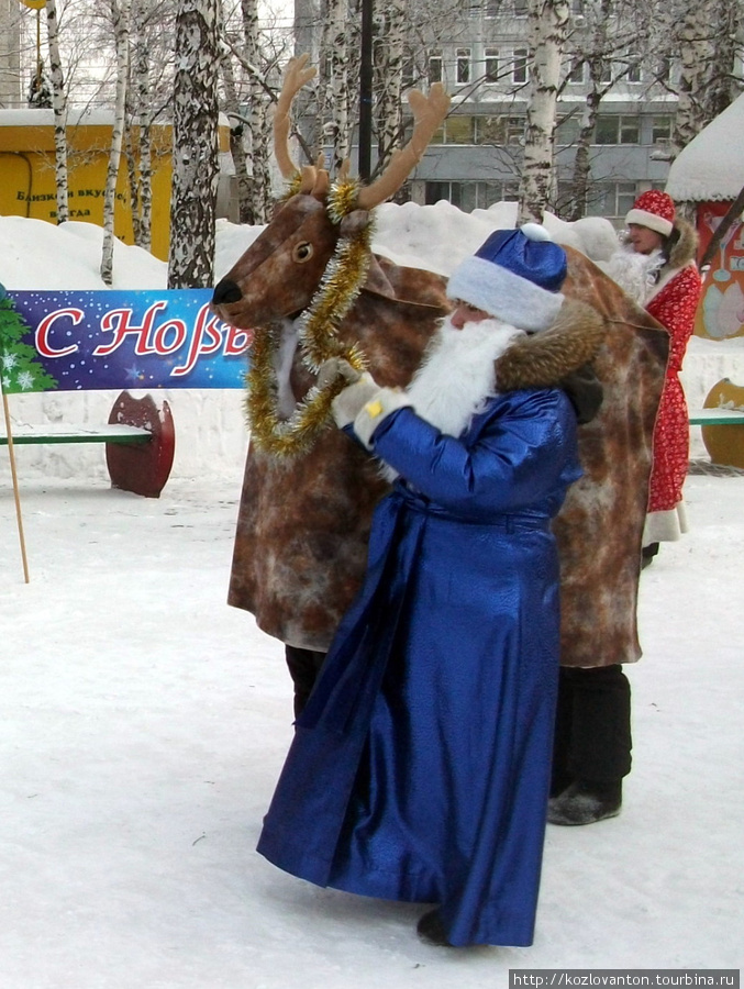 Так вот он какой — северный олень! Новосибирск, Россия