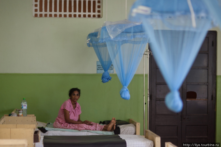 В этой палате лежат будущие мамы. Южная провинция, Шри-Ланка