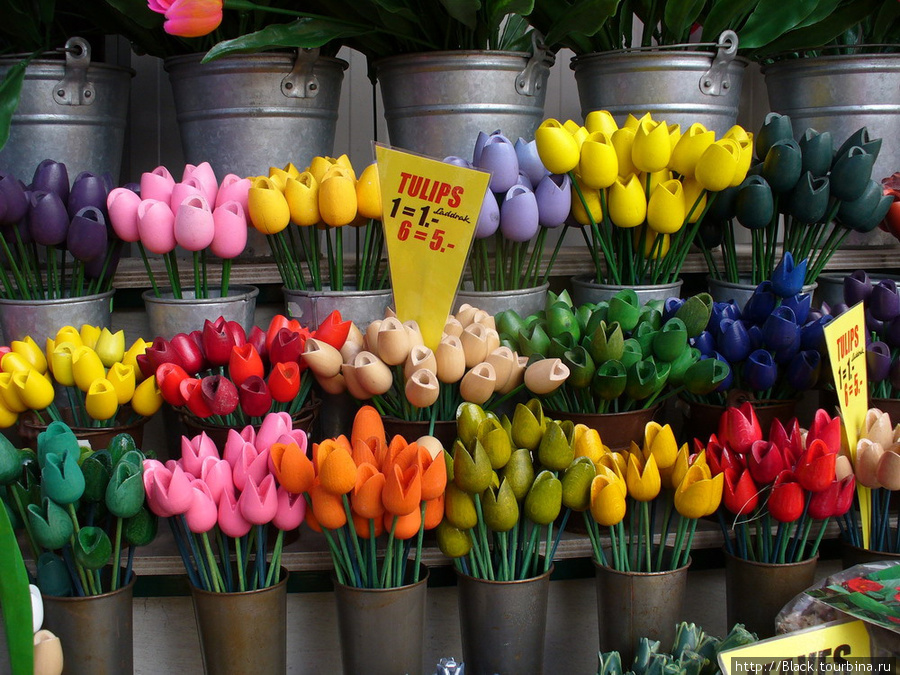Цветочный рынок Амстердам, Нидерланды