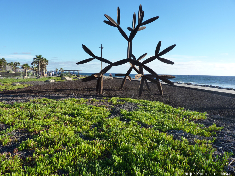 Playa de las Américas Остров Тенерифе, Испания