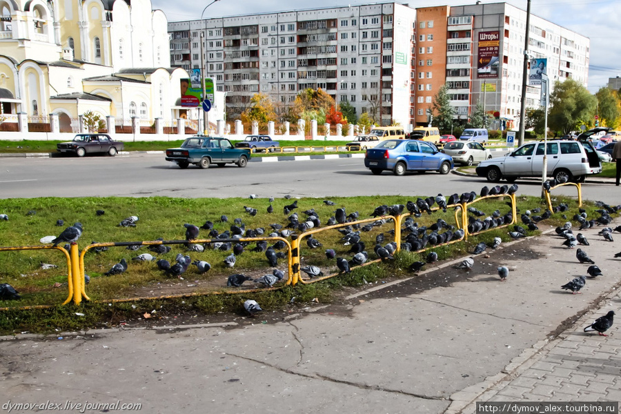 Осень Москва, Россия