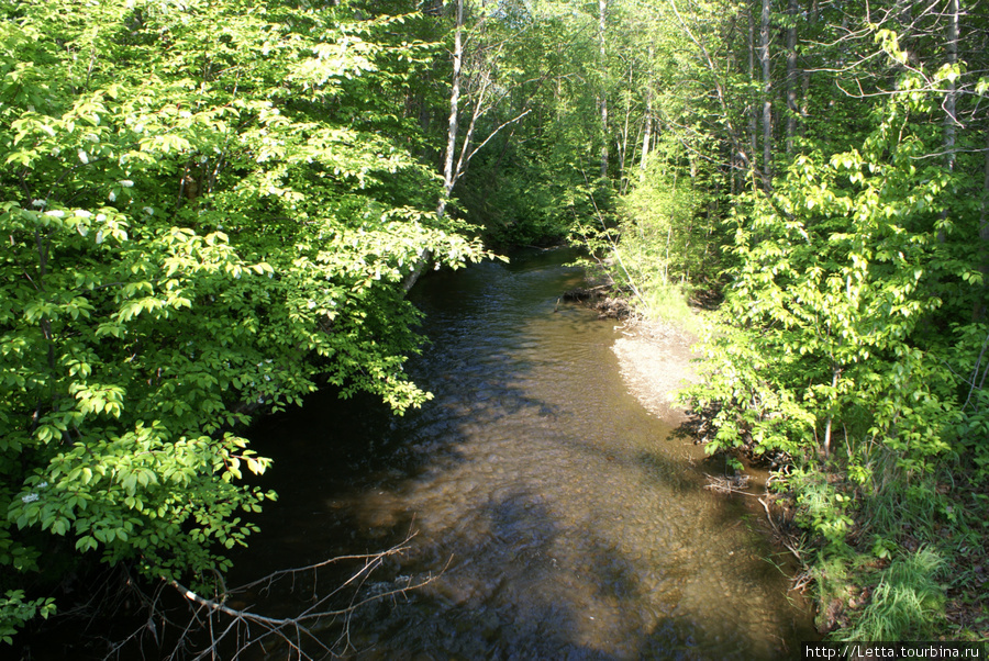 Chester Creek Trail Анкоридж, CША