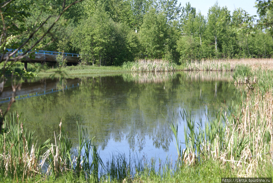 Chester Creek Trail Анкоридж, CША