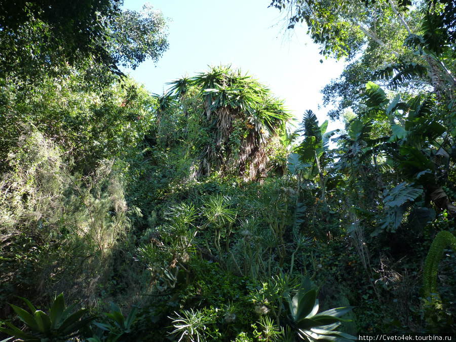 Тенерифе-Jungle park. Арона, остров Тенерифе, Испания