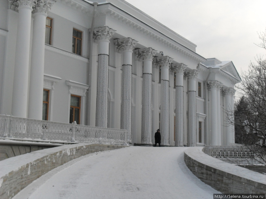 Елагин остров в зимнем наряде Санкт-Петербург, Россия