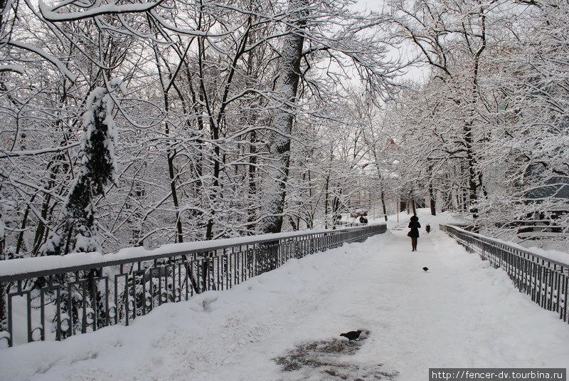 Ради прогулки по этому мостику у зоопарка можно стерпеть все неприятности зимы Калининград, Россия