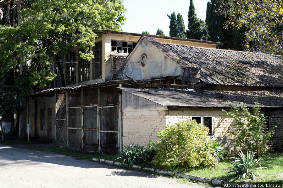 Обезьяний питомник в Сухуми Сухум, Абхазия
