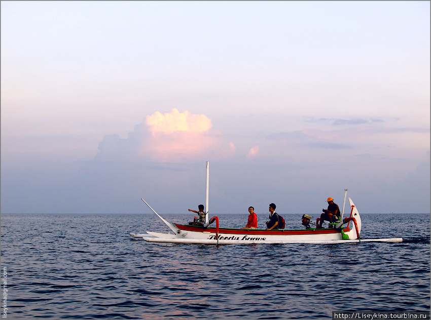 В погоне за дельфинами Бали, Индонезия