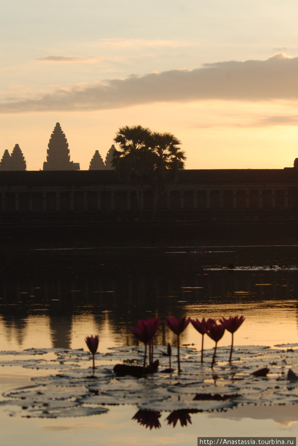 Ангкор Ват, закаты - рассветы Ангкор (столица государства кхмеров), Камбоджа