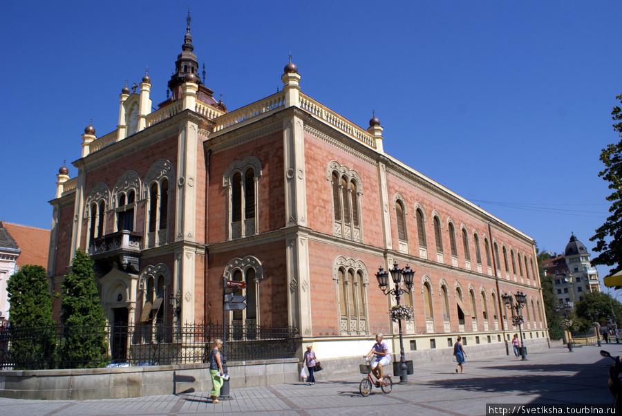 Цветная корова в саду Нови-Сад, Сербия