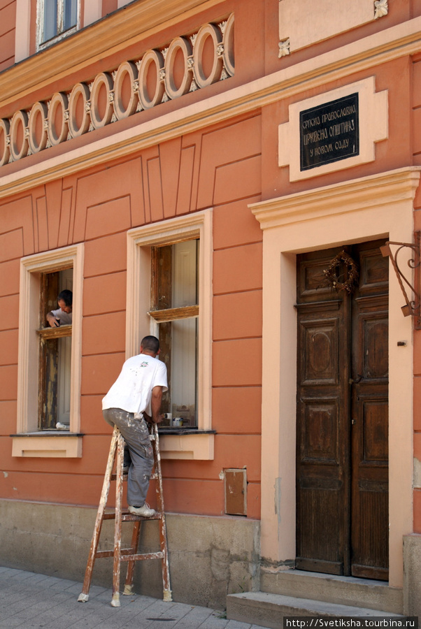 Цветная корова в саду Нови-Сад, Сербия