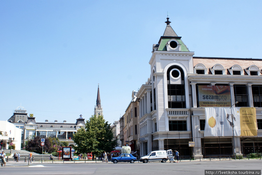 Цветная корова в саду Нови-Сад, Сербия