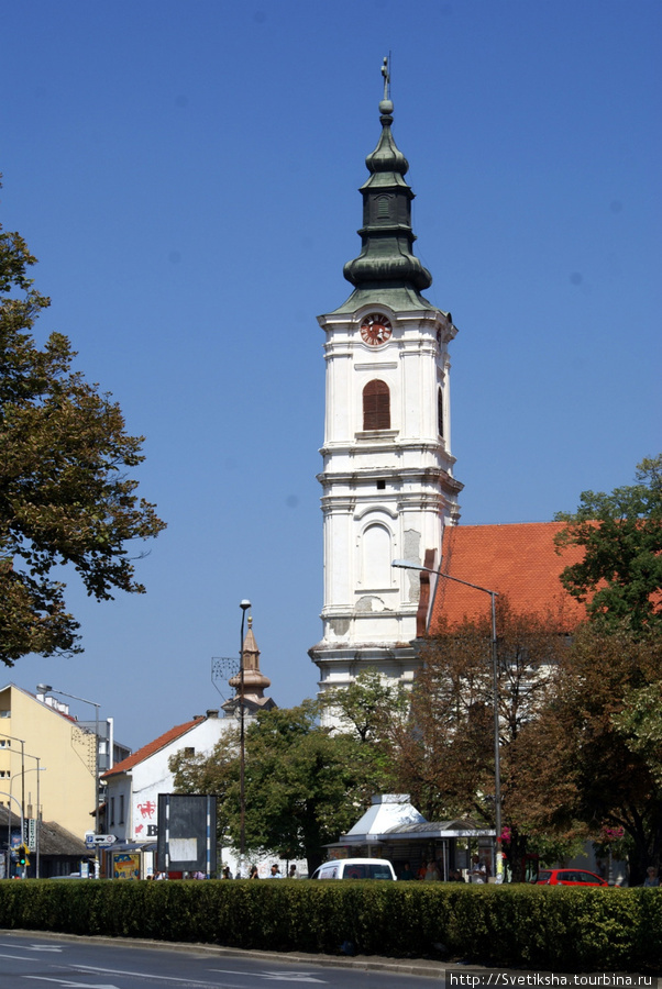 Цветная корова в саду Нови-Сад, Сербия