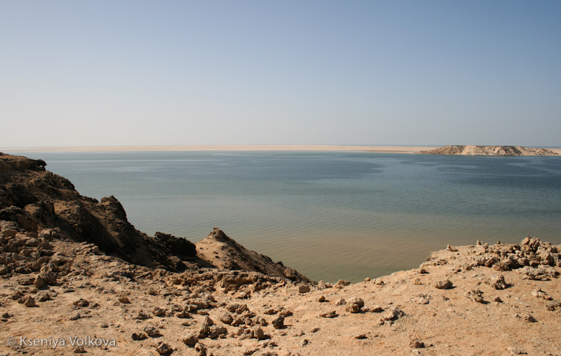 Западная Сахара: пески, Атлантика и свобода