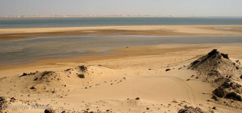Западная Сахара: пески, Атлантика и свобода Дахла, Западная Сахара