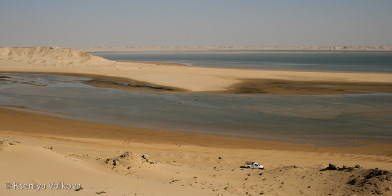 Западная Сахара: пески, Атлантика и свобода