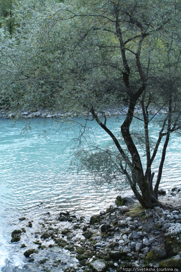 На берегу быстрой реки Рица Реликтовый Национальный Парк, Абхазия
