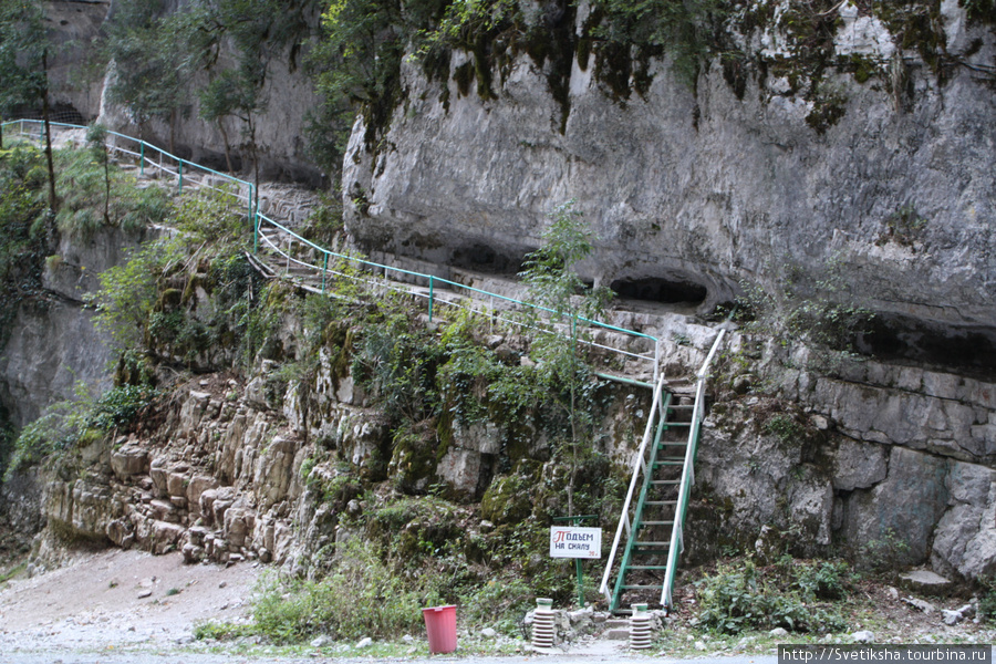 Начало пешего маршрута Рица Реликтовый Национальный Парк, Абхазия