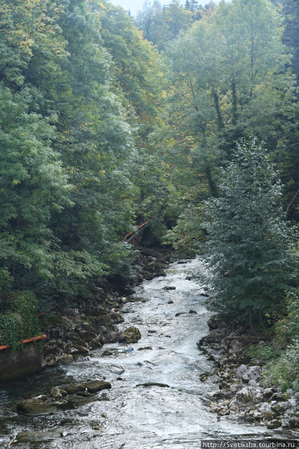 Горная речушка Рица Реликтовый Национальный Парк, Абхазия