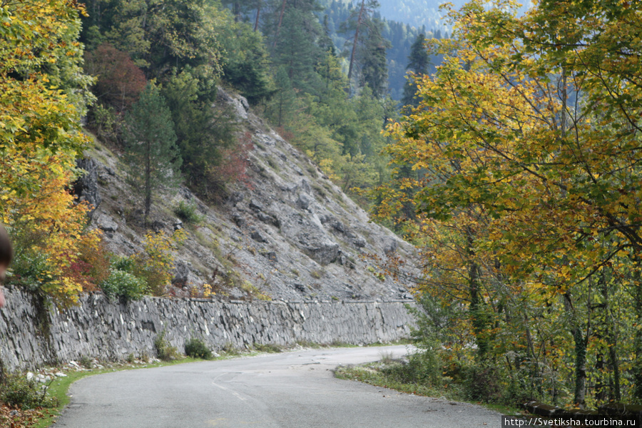 Дорога, которую строили немцы. Рица Реликтовый Национальный Парк, Абхазия