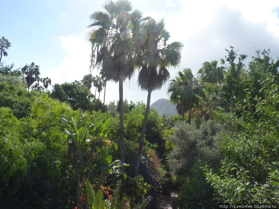 Тенерифе-Jungle park. Арона, остров Тенерифе, Испания
