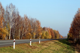 Дорога на Москву