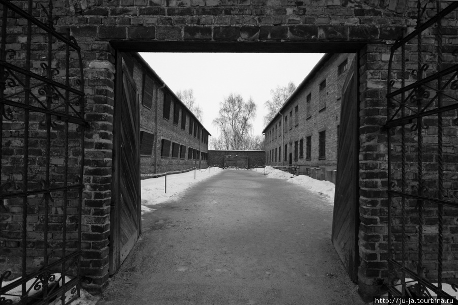 Стена, возле которой происходили массовые расстрелы заключенных... Сейчас здесь мемориал. Освенцим, Польша