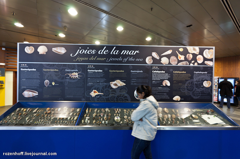 Самый большой аквариум в Европе Барселона, Испания