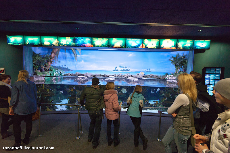 Самый большой аквариум в Европе Барселона, Испания